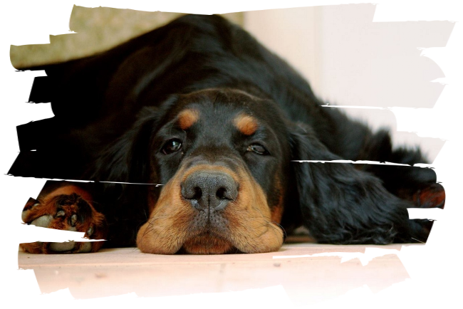 Bureaubladachtergrond